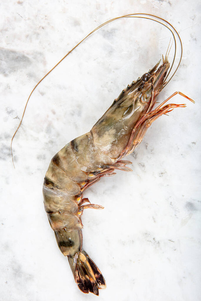 Fresh tiger shrimps. fresh raw shrimps or prawns in on white marble. - Foto, afbeelding
