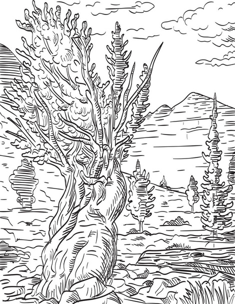 Retro woodcut style illustration of Prometheus tree and Wheeler Peak in Great Basin National Park located in White Pine County in east-central Nevada on isolated background done in black and white. - Vector, Imagen
