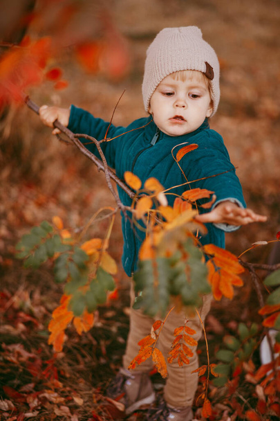 A boy, dressed in a beige hat and green jacket, stands against the background of autumn - Fotografie, Obrázek