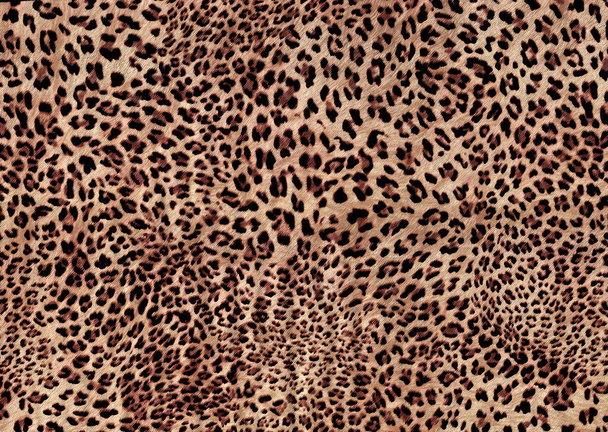 padrão de pele animal exótico abstrato - Foto, Imagem