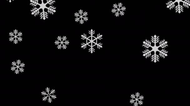 padající sněhové vločky izolované na černém pozadí - bezešvá smyčka - 3D vykreslení - Záběry, video