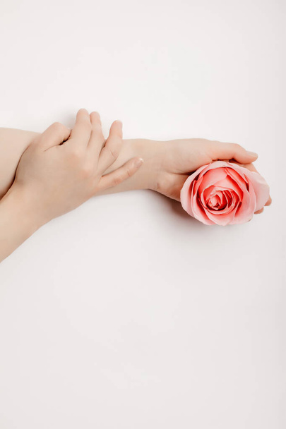 Belle mani di una donna che tiene un bocciolo di rosa sdraiato su uno sfondo bianco. concetto di cura della pelle, idratazione e riduzione delle rughe - Foto, immagini