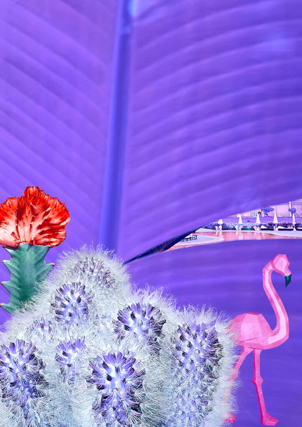 Сучасний колаж. Рожеві фламінго і різнокольорові кактуси на тлі фіолетового пальмового листа, через який басейн видно
 - Фото, зображення