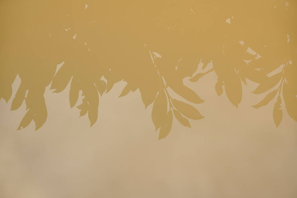 Liestal, Suisse - 21 septembre 2020 : contours et reflets des arbres dans une flaque d'eau brune après une tempête - Photo, image