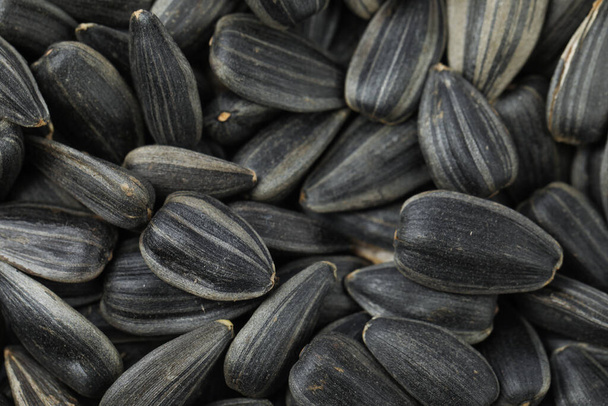 Raw sunflower seeds as background, closeup view - Photo, Image