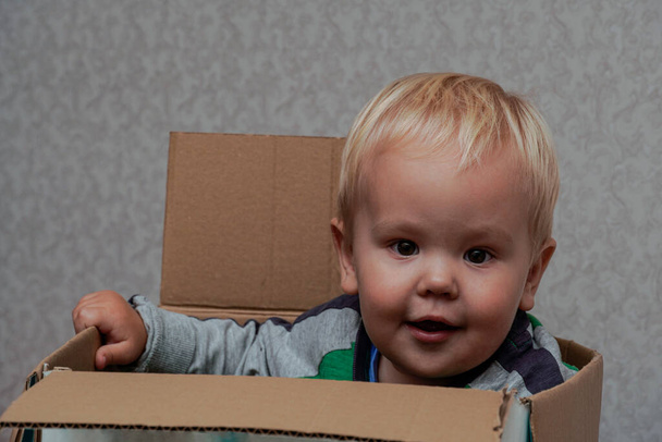 Little boy with blond hair sitting in a box. high quality - Foto, Imagem