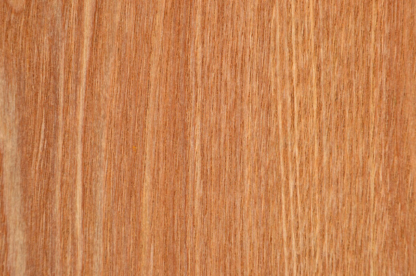 Shot of wooden textured background, close up - Photo, Image