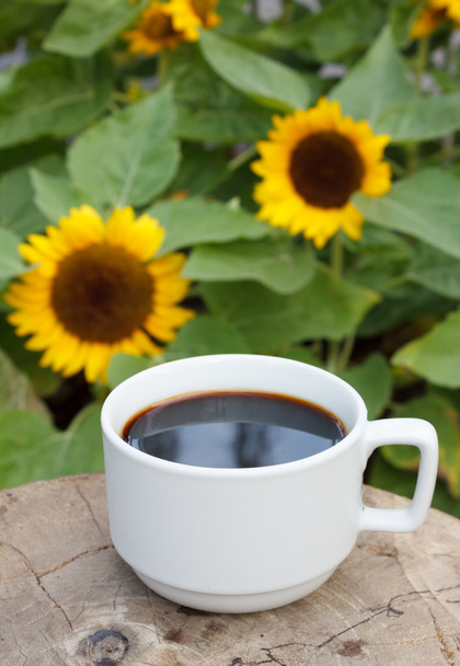tasse de café sur fond de tournesols
 - Photo, image