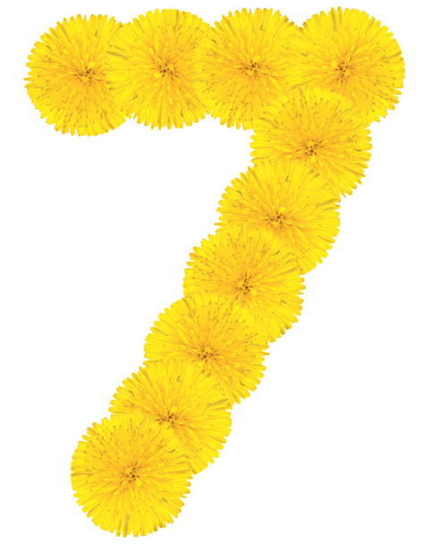Number 7 made from dandelion flower - 写真・画像