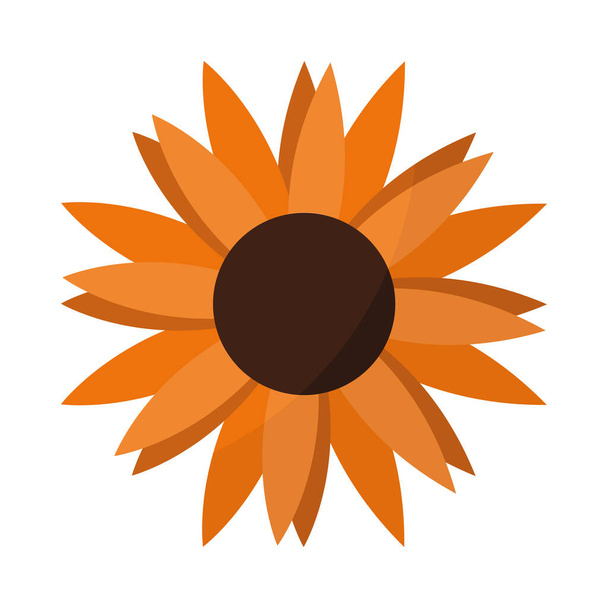 осінній соняшник помаранчевого кольору
 - Вектор, зображення