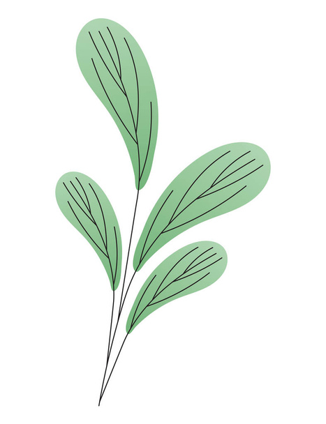 listy zelené barvy na bílém pozadí - Vektor, obrázek