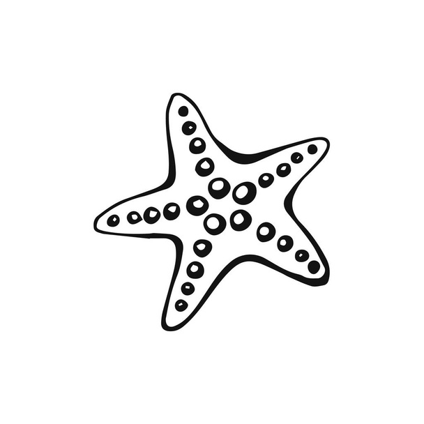 Ilustração vetorial de estrelas-do-mar desenhada à mão sobre fundo branco. Mar ou oceano vida subaquática. - Vetor, Imagem