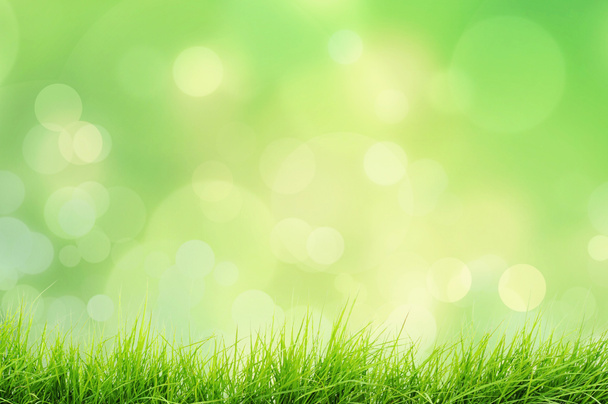 Spring or summer nature landscape with grass and bokeh lights - Foto, afbeelding