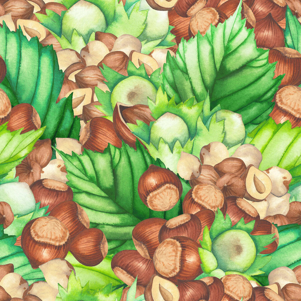 Vesiväri saumaton kuvio hasselpähkinän lehdet ja pähkinät. - Valokuva, kuva