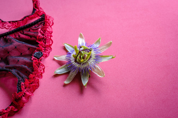 Passiflora edulis flor ao lado de um pedaço de lingerie vermelha e preta. - Foto, Imagem