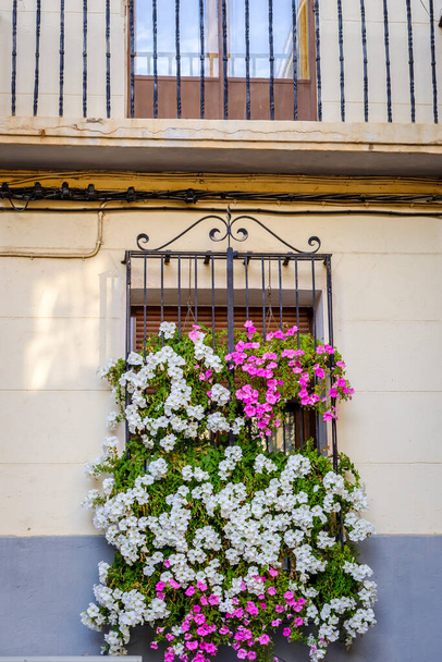Teruel 'deki bir evde beyaz ve pembe petunyalı kafes penceresi (İspanya) - Fotoğraf, Görsel
