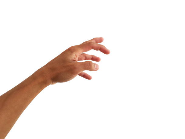 ukázat ruku s uchopit gesto na bílém pozadí - Fotografie, Obrázek