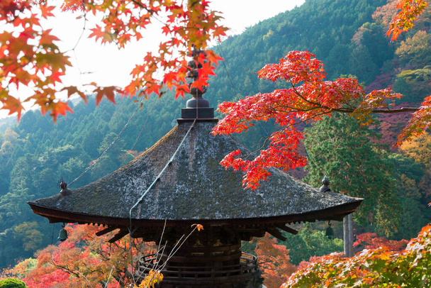 Kyoto, Japón - color de la hoja de otoño en el Templo Yoshiminedera en Kyoto, Japón. El templo construido originalmente en 1029. - Foto, imagen
