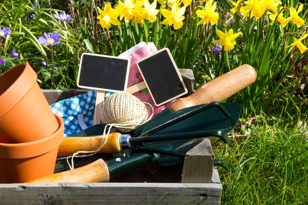 caixa com utensílios de jardim e narcisos no fundo
 - Foto, Imagem