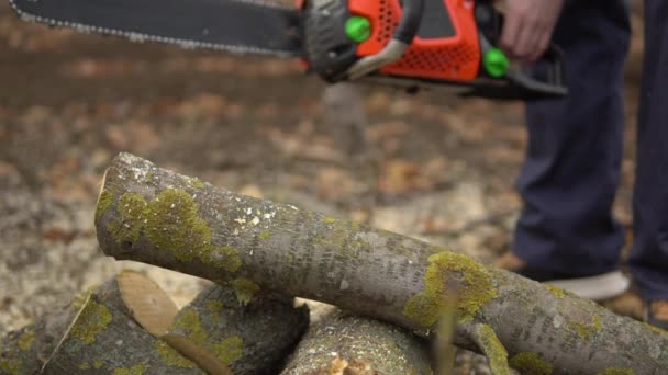 Arborista serrar log por motosserra em câmera lenta. Desmatamento, corte florestal - Filmagem, Vídeo