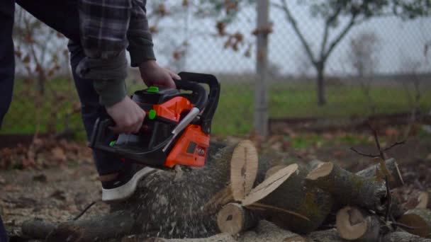 Madeira serrada árvore de corte trabalhador e aparas de madeira voando em movimento lento - Filmagem, Vídeo