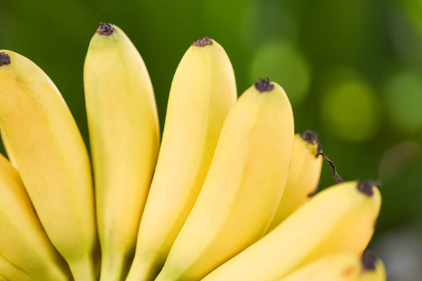 plátano maduro fruta tropical sobre fondo de hoja verde, plátano fresco - Foto, imagen