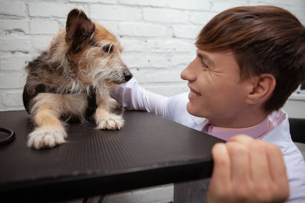Primo piano di un veterinario allegro sorridente a simpatico cane rifugio razza mista sdraiato sul tavolo visita medica - Foto, immagini