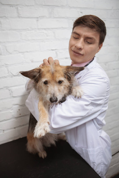 Vertical shot of a male vet petting lovely shelter dog - Fotó, kép