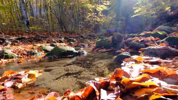 L'eau se précipite à travers les roches naturellement formées - Séquence, vidéo