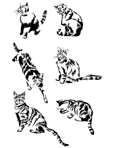 koty wzór - Wektor, obraz