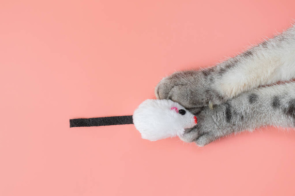 Gray cat paws and a toy mouse. Pink background, copy space, top view. Concept of games and entertainment for pets. - Fotografie, Obrázek