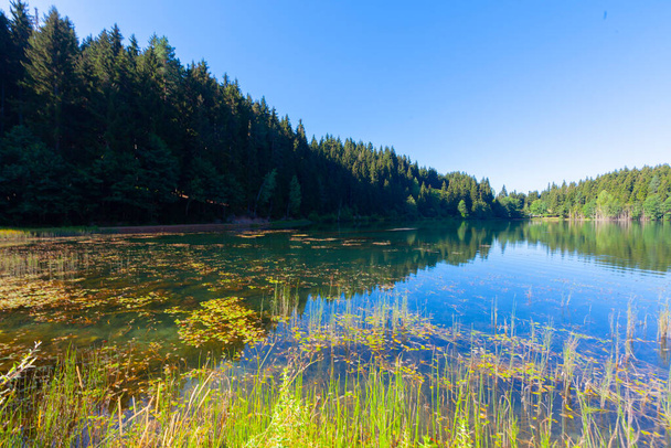 Artvin savsat karagol également connu sous le nom de lac noir avec forêt verte et fond bleu ciel et sa réflexion sur le lac - Photo, image