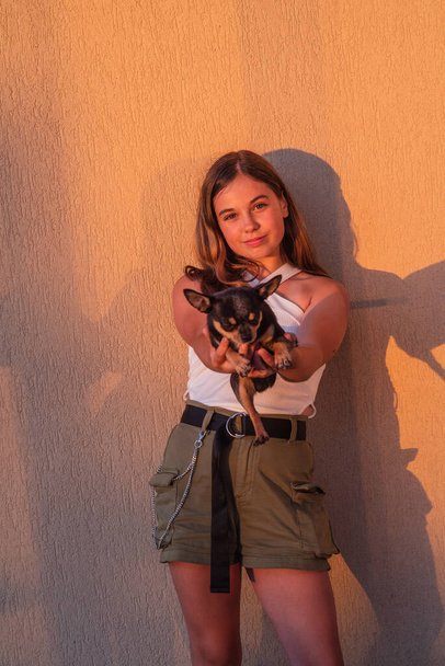 Portrait de Hipster Girl sur fond jaune. Adolescente avec un chihuahua dans les bras. chien - Photo, image