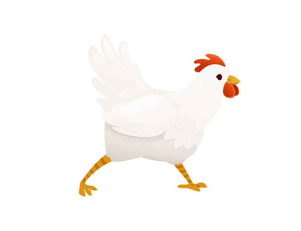 Leuke witte chiken boerderij landbouw kip haan cartoon dier ontwerp platte vector illustratie. - Vector, afbeelding