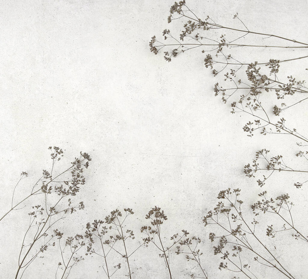 Dry field flowers on stone tile background. Dry wild meadow plants, grasses or herbs with copy space, winter concept.  - 写真・画像