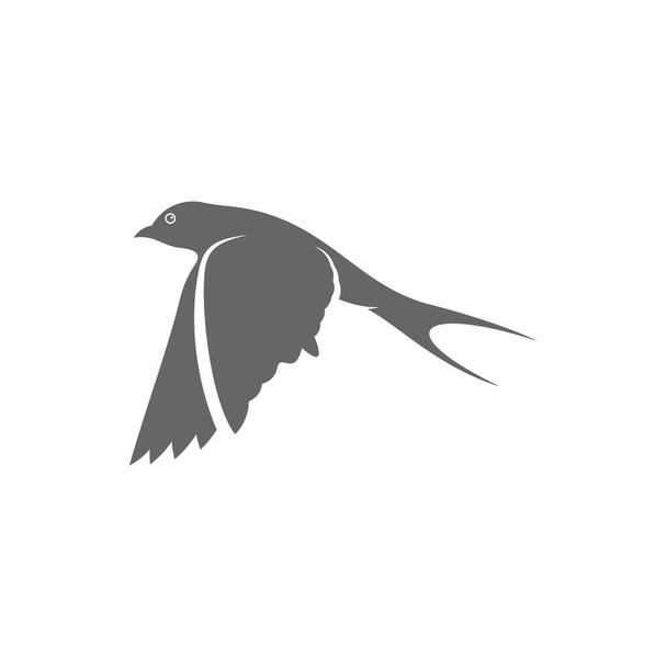 Swallow λογότυπο διάνυσμα πρότυπο, Creative καταπιεί έννοιες σχεδιασμό λογότυπο, σύμβολο εικονίδιο, εικονογράφηση - Διάνυσμα, εικόνα