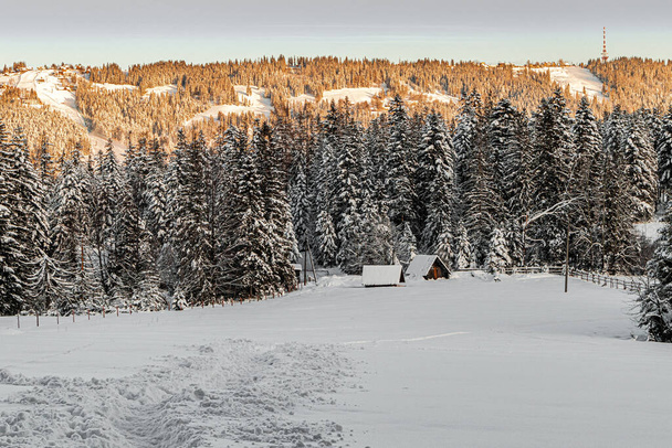 wunderschöne Winterlandschaft mit schneebedeckten Bäumen - Foto, Bild