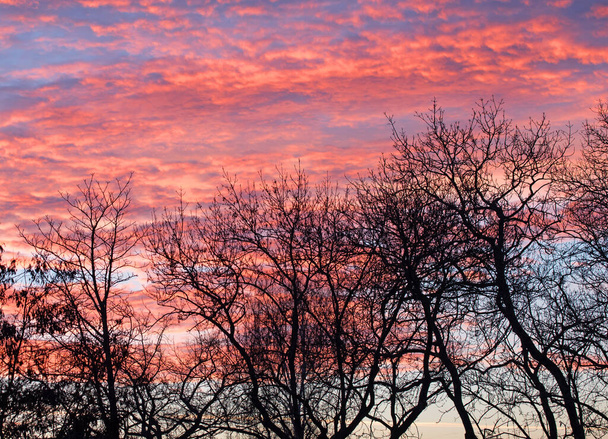 Červený odstín východní oblohy, úsvit - Fotografie, Obrázek