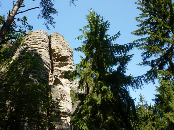 Una roca y árboles en el paraíso bohemio - Foto, imagen