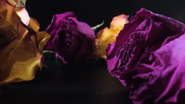 A rózsák a fekete asztalon vannak. A kamera simán halad tovább. Közelről. - Felvétel, videó