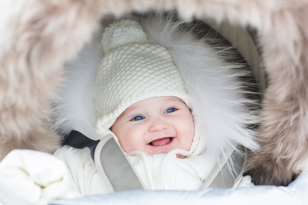 Bebê sentado em um carrinho de peles de inverno
 - Foto, Imagem