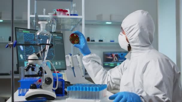 Chemik z pokrywą analizującą próbkę bakterii z płytki Petriego - Materiał filmowy, wideo