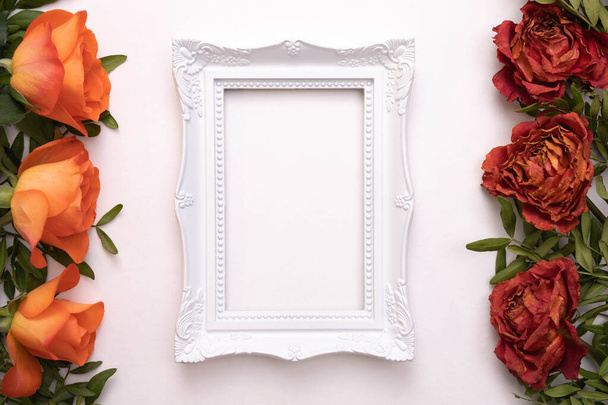 live and dead roses lie on a white background, in the middle there is a white frame for a photo, top view - Photo, image