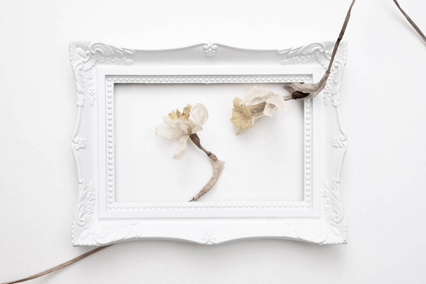 dead daffodil flowers in a white frame on a white background, top view - Photo, Image