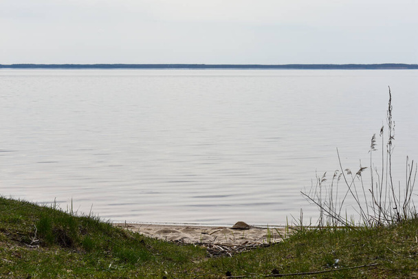 summer coast of the Volga River - Fotó, kép