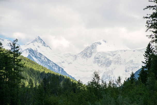 the valley of river Akkem and Belukha peak - Altay - Foto, Imagen