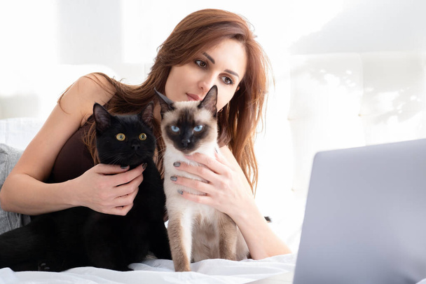 молодая женщина, использующая ноутбук с видеозвонком с двумя кошками, лежащими вместе на кровати. - Фото, изображение
