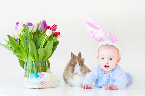 Bébé garçon avec des oreilles de lapin jouer avec un vrai lapin
 - Photo, image