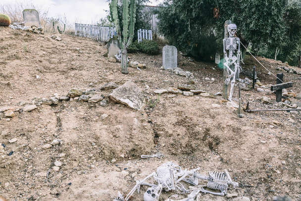 Representation with skeletons in a cemetery with graves and land on a cloudy day - Photo, Image