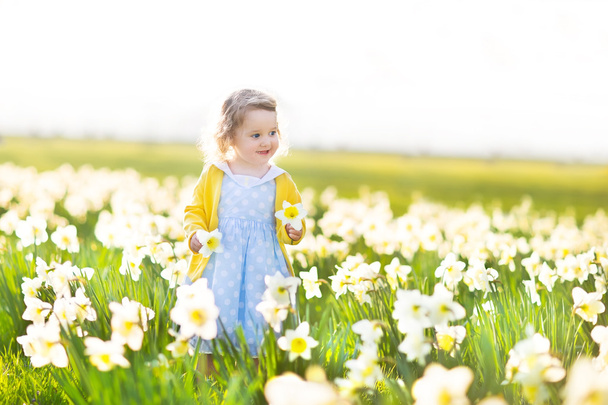 dívka si hraje v oblasti žlutého narcisu květiny - Fotografie, Obrázek
